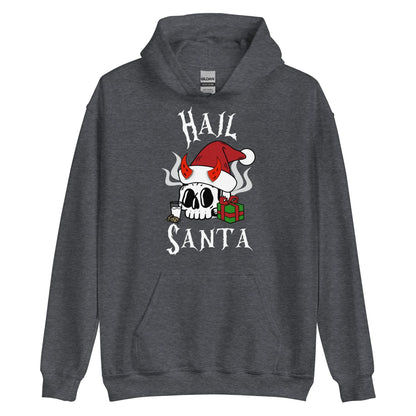 Hail Santa Hoodie